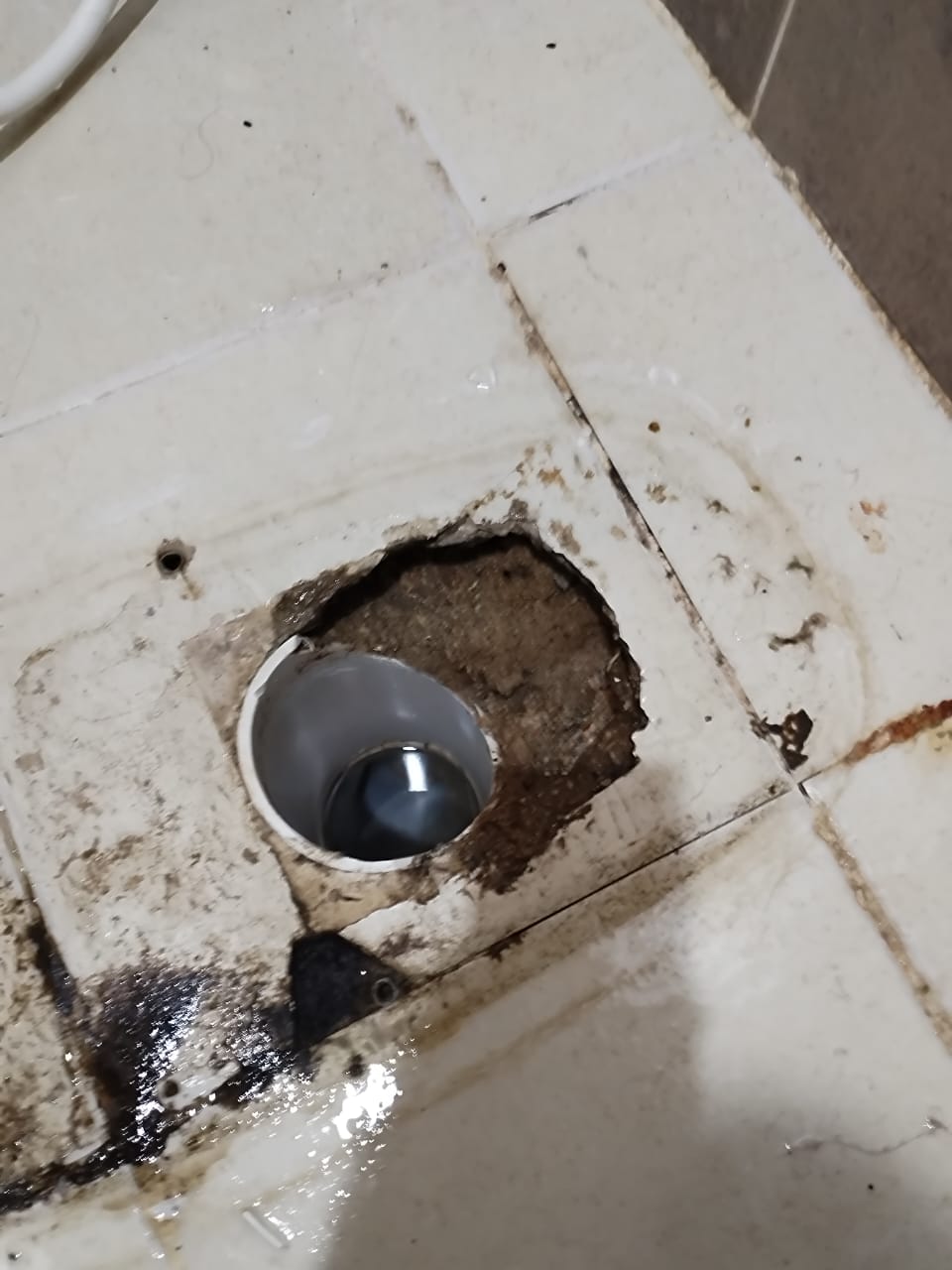 صورة واتساب بتاريخ 1447 03 16 في 01.31.43 95605ea4